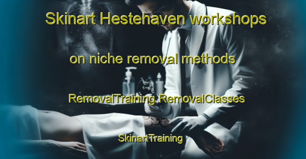 Skinart Hestehaven workshops on niche removal methods | #RemovalTraining #RemovalClasses #SkinartTraining-Denmark