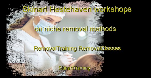 Skinart Hestehaven workshops on niche removal methods | #RemovalTraining #RemovalClasses #SkinartTraining-Denmark