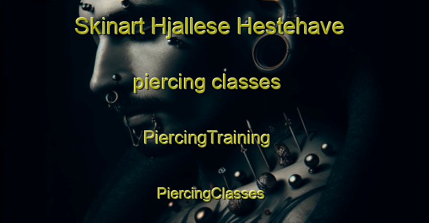 Skinart Hjallese Hestehave piercing classes | PiercingTraining | PiercingClasses | SkinartTraining-Denmark