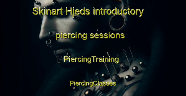 Skinart Hjeds introductory piercing sessions | #PiercingTraining #PiercingClasses #SkinartTraining-Denmark