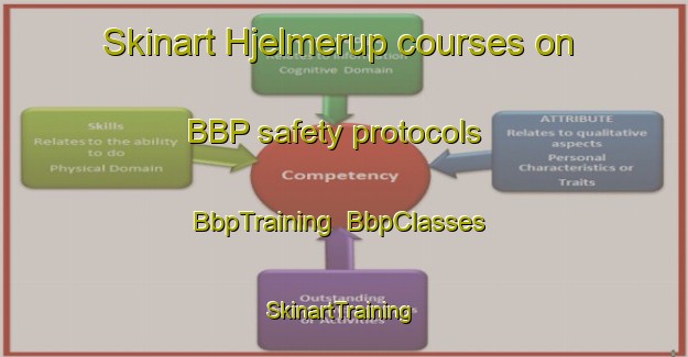 Skinart Hjelmerup courses on BBP safety protocols | BbpTraining | BbpClasses | SkinartTraining-Denmark