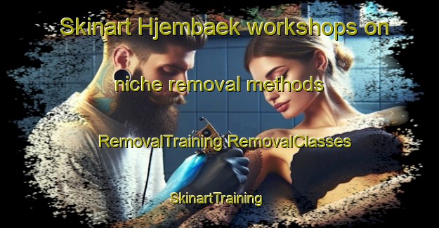 Skinart Hjembaek workshops on niche removal methods | #RemovalTraining #RemovalClasses #SkinartTraining-Denmark