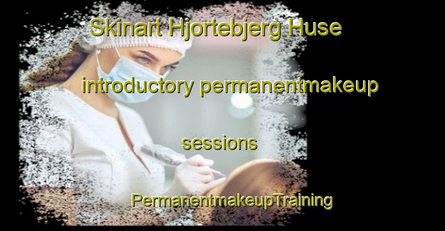 Skinart Hjortebjerg Huse introductory permanentmakeup sessions | #PermanentmakeupTraining #PermanentmakeupClasses #SkinartTraining-Denmark