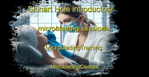 Skinart Hole introductory microblading sessions | #MicrobladingTraining #MicrobladingClasses #SkinartTraining-Denmark