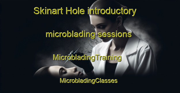 Skinart Hole introductory microblading sessions | MicrobladingTraining | MicrobladingClasses | SkinartTraining-Denmark