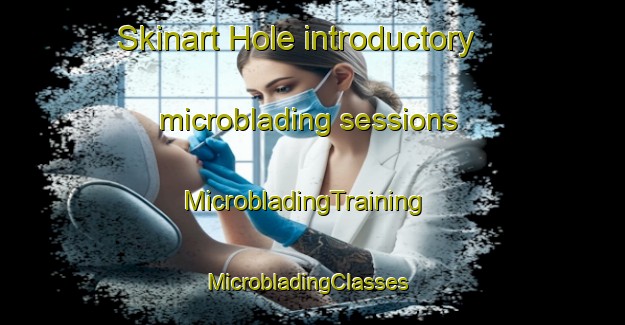 Skinart Hole introductory microblading sessions | MicrobladingTraining | MicrobladingClasses | SkinartTraining-Denmark