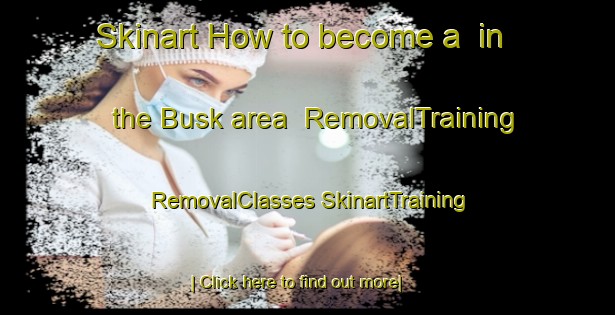 Skinart How to become a  in the Busk area | #RemovalTraining #RemovalClasses #SkinartTraining-Denmark