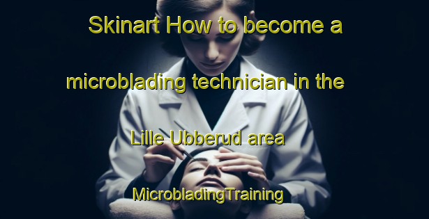Skinart How to become a microblading technician in the Lille Ubberud area | MicrobladingTraining | MicrobladingClasses | SkinartTraining-Denmark