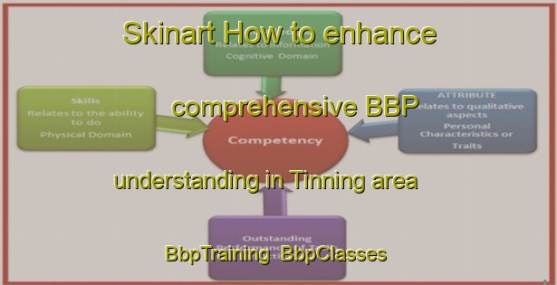Skinart How to enhance comprehensive BBP understanding in Tinning area | BbpTraining | BbpClasses | SkinartTraining-Denmark
