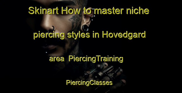 Skinart How to master niche piercing styles in Hovedgard area | PiercingTraining | PiercingClasses | SkinartTraining-Denmark