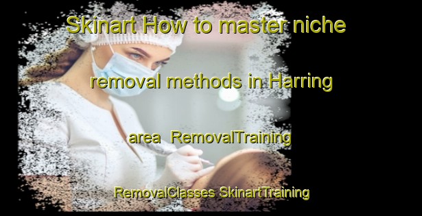 Skinart How to master niche removal methods in Harring area | #RemovalTraining #RemovalClasses #SkinartTraining-Denmark