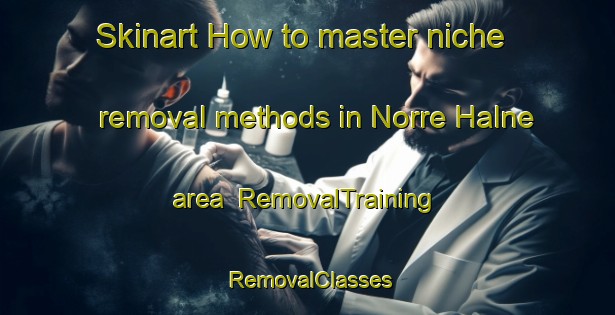 Skinart How to master niche removal methods in Norre Halne area | RemovalTraining | RemovalClasses | SkinartTraining-Denmark