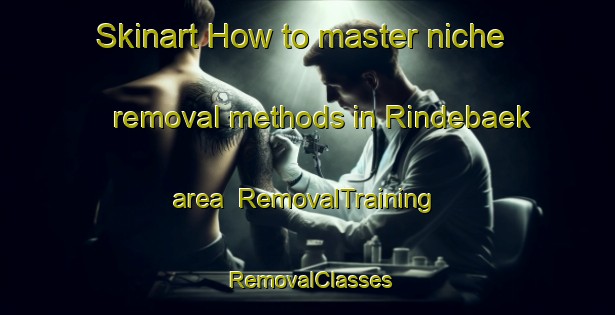 Skinart How to master niche removal methods in Rindebaek area | RemovalTraining | RemovalClasses | SkinartTraining-Denmark