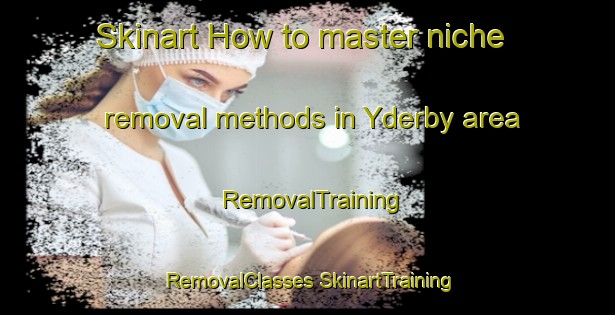 Skinart How to master niche removal methods in Yderby area | #RemovalTraining #RemovalClasses #SkinartTraining-Denmark