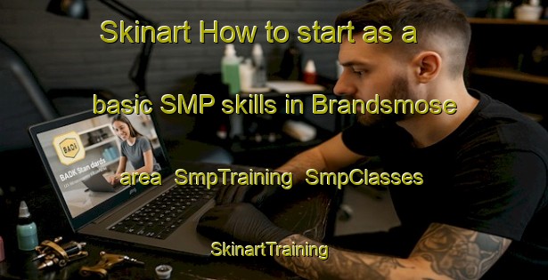 Skinart How to start as a basic SMP skills in Brandsmose area | SmpTraining | SmpClasses | SkinartTraining-Denmark