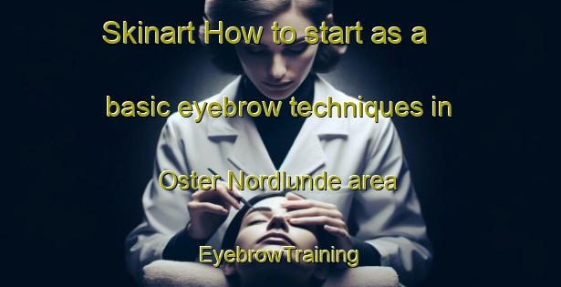 Skinart How to start as a basic eyebrow techniques in Oster Nordlunde area | EyebrowTraining | EyebrowClasses | SkinartTraining-Denmark