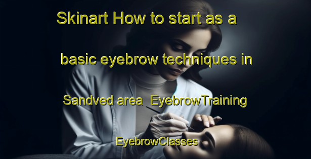 Skinart How to start as a basic eyebrow techniques in Sandved area | EyebrowTraining | EyebrowClasses | SkinartTraining-Denmark