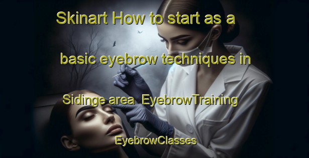 Skinart How to start as a basic eyebrow techniques in Sidinge area | EyebrowTraining | EyebrowClasses | SkinartTraining-Denmark