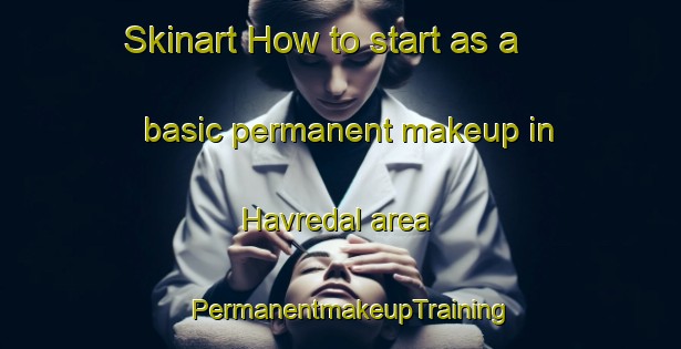 Skinart How to start as a basic permanent makeup in Havredal area | PermanentmakeupTraining | PermanentmakeupClasses | SkinartTraining-Denmark