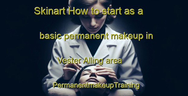 Skinart How to start as a basic permanent makeup in Vester Alling area | PermanentmakeupTraining | PermanentmakeupClasses | SkinartTraining-Denmark