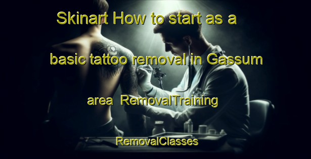 Skinart How to start as a basic tattoo removal in Gassum area | RemovalTraining | RemovalClasses | SkinartTraining-Denmark