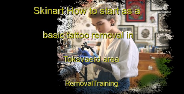 Skinart How to start as a basic tattoo removal in Toksvaerd area | RemovalTraining | RemovalClasses | SkinartTraining-Denmark