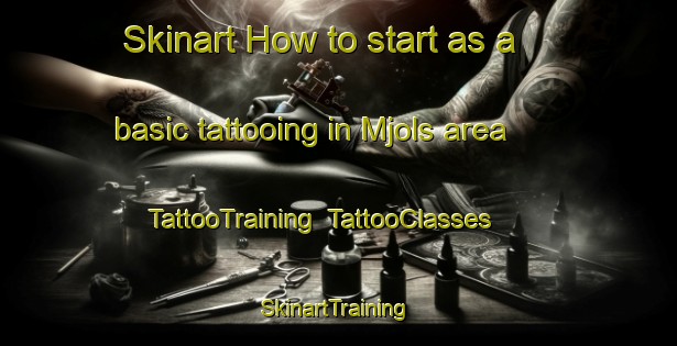 Skinart How to start as a basic tattooing in Mjols area | TattooTraining | TattooClasses | SkinartTraining-Denmark