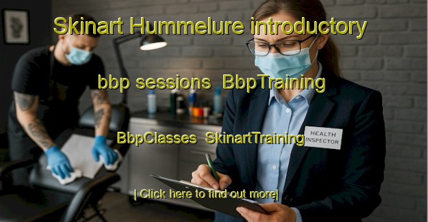 Skinart Hummelure introductory bbp sessions | BbpTraining | BbpClasses | SkinartTraining-Denmark