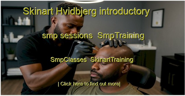 Skinart Hvidbjerg introductory smp sessions | SmpTraining | SmpClasses | SkinartTraining-Denmark