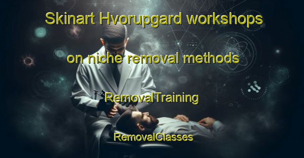 Skinart Hvorupgard workshops on niche removal methods | RemovalTraining | RemovalClasses | SkinartTraining-Denmark