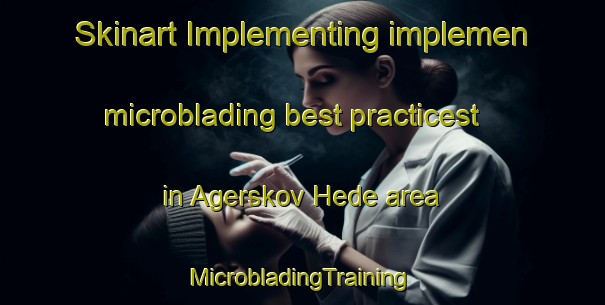 Skinart Implementing implemen microblading best practicest in Agerskov Hede area | #MicrobladingTraining #MicrobladingClasses #SkinartTraining-Denmark