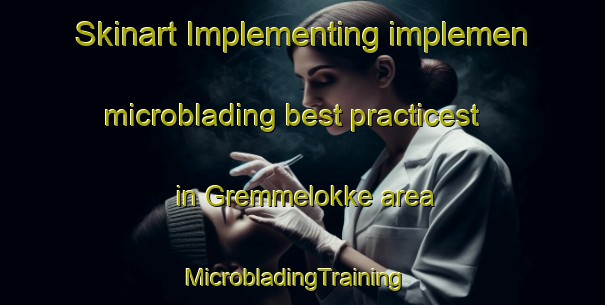 Skinart Implementing implemen microblading best practicest in Gremmelokke area | MicrobladingTraining | MicrobladingClasses | SkinartTraining-Denmark