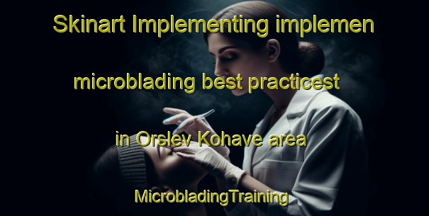 Skinart Implementing implemen microblading best practicest in Orslev Kohave area | #MicrobladingTraining #MicrobladingClasses #SkinartTraining-Denmark