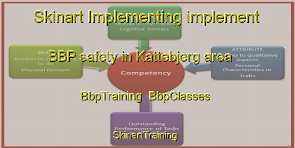 Skinart Implementing implement BBP safety in Kattebjerg area | BbpTraining | BbpClasses | SkinartTraining-Denmark