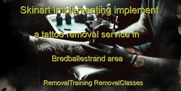 Skinart Implementing implement a tattoo removal service in Bredballestrand area | #RemovalTraining #RemovalClasses #SkinartTraining-Denmark