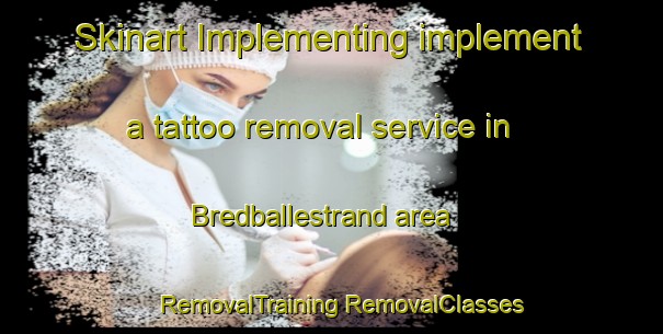 Skinart Implementing implement a tattoo removal service in Bredballestrand area | #RemovalTraining #RemovalClasses #SkinartTraining-Denmark