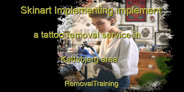 Skinart Implementing implement a tattoo removal service in Kattebjerg area | RemovalTraining | RemovalClasses | SkinartTraining-Denmark