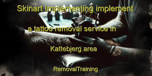 Skinart Implementing implement a tattoo removal service in Kattebjerg area | RemovalTraining | RemovalClasses | SkinartTraining-Denmark