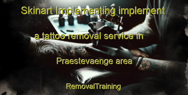 Skinart Implementing implement a tattoo removal service in Praestevaenge area | RemovalTraining | RemovalClasses | SkinartTraining-Denmark