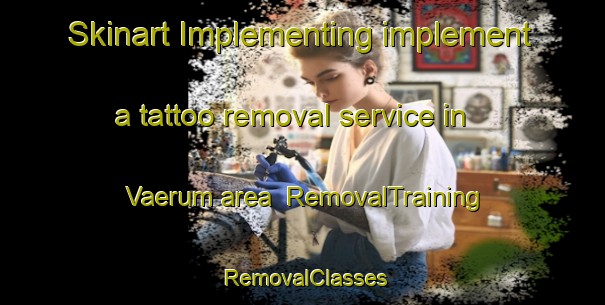 Skinart Implementing implement a tattoo removal service in Vaerum area | RemovalTraining | RemovalClasses | SkinartTraining-Denmark