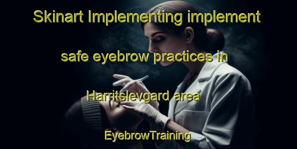 Skinart Implementing implement safe eyebrow practices in Harritslevgard area | EyebrowTraining | EyebrowClasses | SkinartTraining-Denmark