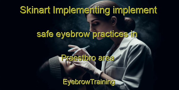 Skinart Implementing implement safe eyebrow practices in Praestbro area | EyebrowTraining | EyebrowClasses | SkinartTraining-Denmark