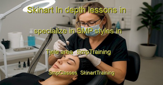 Skinart In-depth lessons in specialize in SMP styles in Tjele area | SmpTraining | SmpClasses | SkinartTraining-Denmark