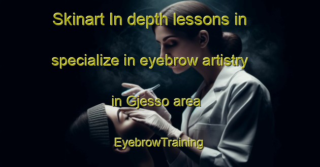 Skinart In-depth lessons in specialize in eyebrow artistry in Gjesso area | EyebrowTraining | EyebrowClasses | SkinartTraining-Denmark