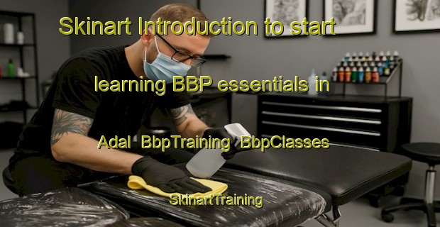 Skinart Introduction to start learning BBP essentials in Adal | BbpTraining | BbpClasses | SkinartTraining-Denmark