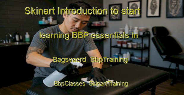 Skinart Introduction to start learning BBP essentials in Bagsvaerd | BbpTraining | BbpClasses | SkinartTraining-Denmark