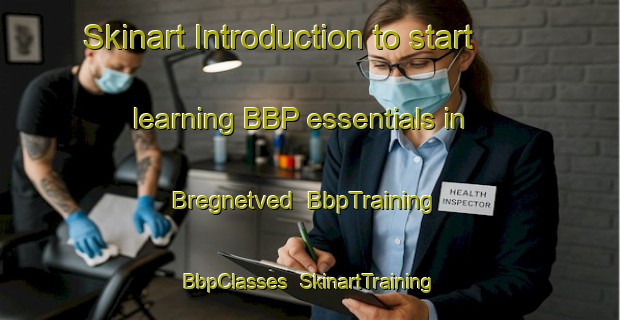 Skinart Introduction to start learning BBP essentials in Bregnetved | BbpTraining | BbpClasses | SkinartTraining-Denmark