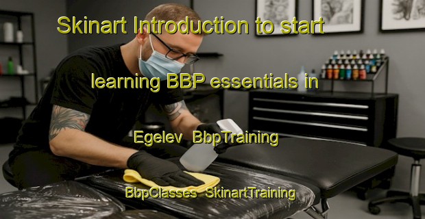 Skinart Introduction to start learning BBP essentials in Egelev | BbpTraining | BbpClasses | SkinartTraining-Denmark