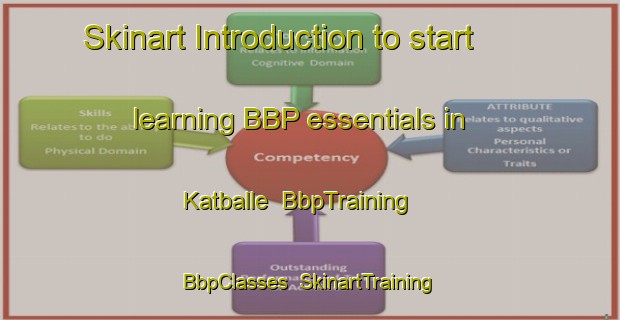 Skinart Introduction to start learning BBP essentials in Katballe | BbpTraining | BbpClasses | SkinartTraining-Denmark