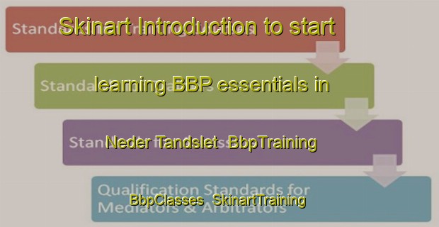 Skinart Introduction to start learning BBP essentials in Neder Tandslet | BbpTraining | BbpClasses | SkinartTraining-Denmark